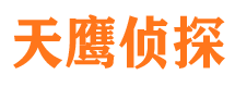 临武市侦探